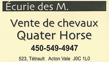 Écurie des M.