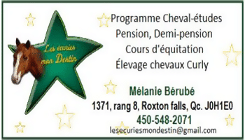 Les écuries mon Destin