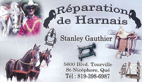 Réparation de Harnais Stanley Gauthier - Logo